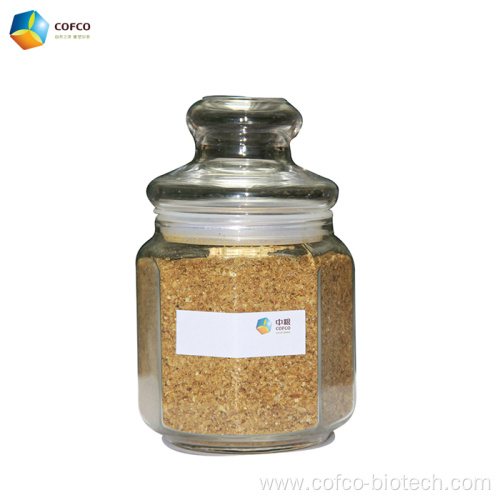 Maize gluten cattle feed